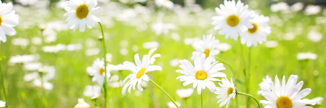 メンズエステの目的と楽しみ方